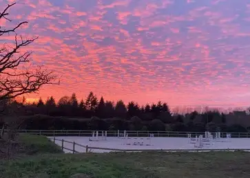 paddocks chevaux Dinard-4