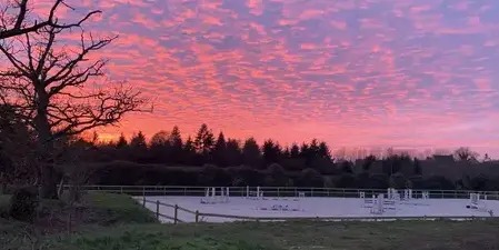 paddocks chevaux Lamballe-4