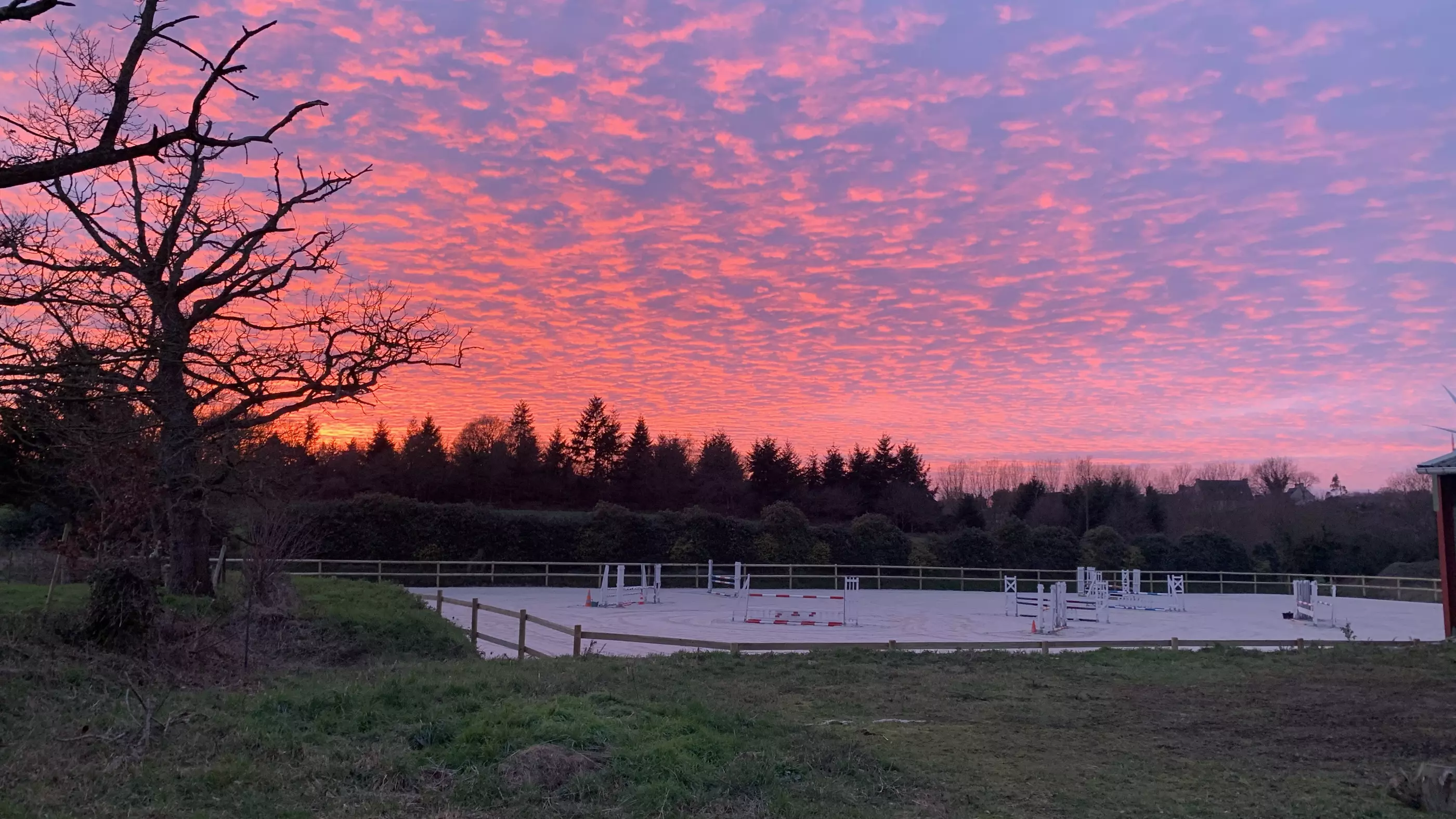 paddocks chevaux plancoet