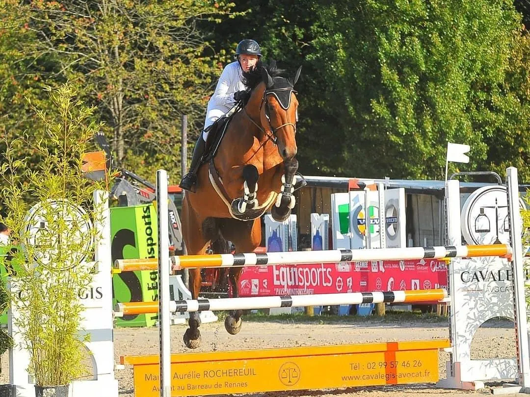 paddocks chevaux saint brieuc