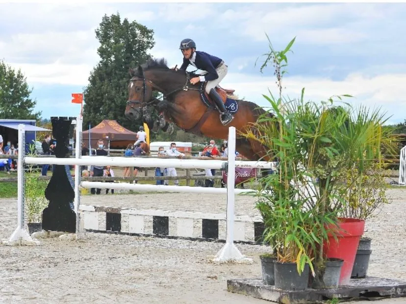 pension chevaux jugon les lacs commune nouvelle