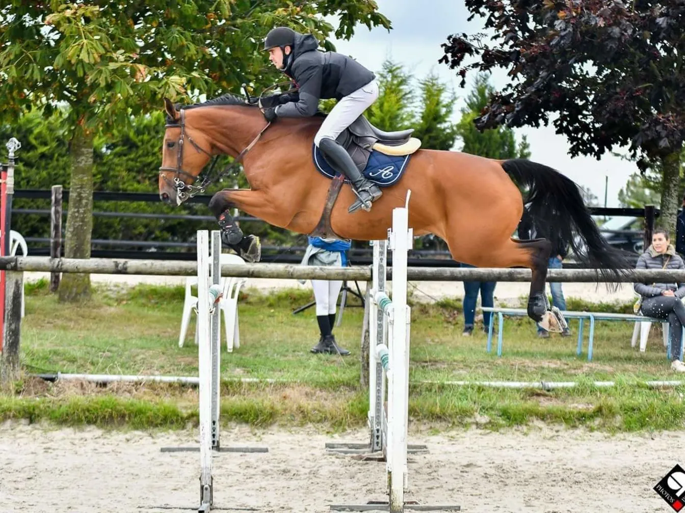 pension chevaux plancoet