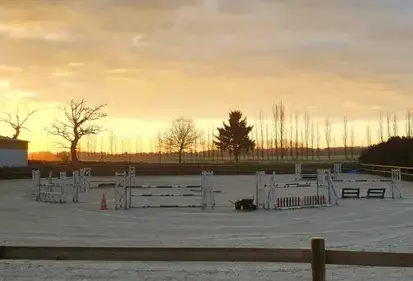 pension chevaux Saint-Brieuc-1