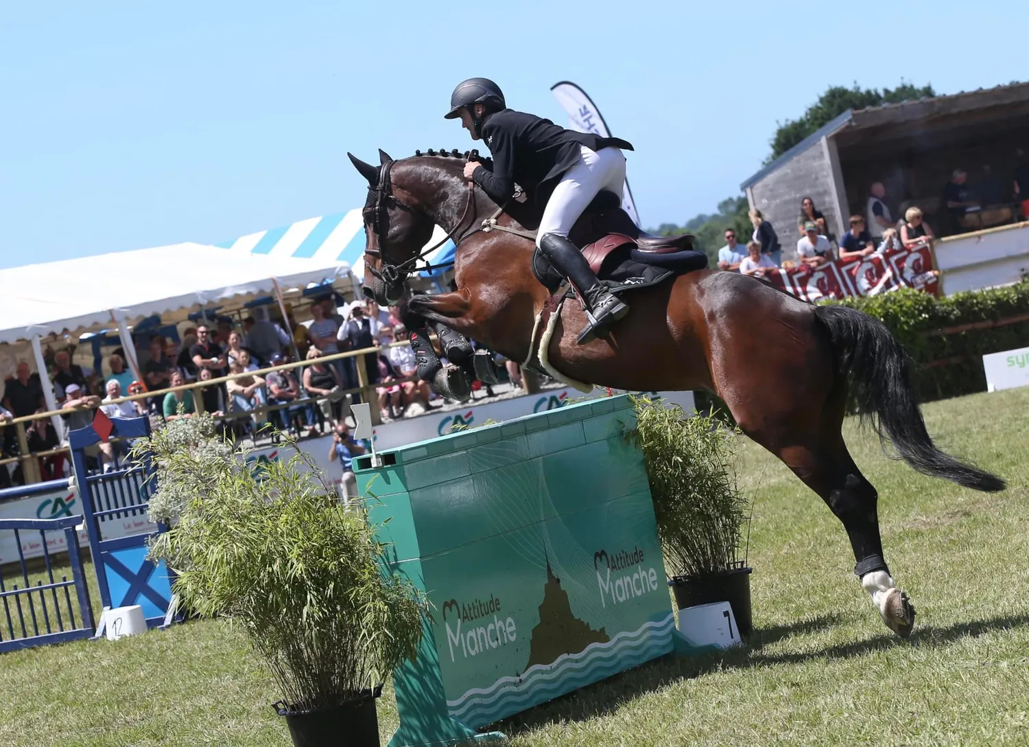 pension chevaux saint meen le grand