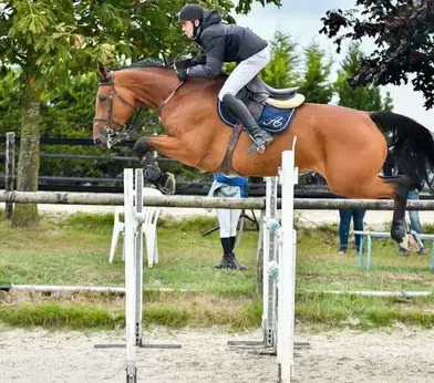 valorisation chevaux Jugon-les-Lacs-Commune-Nouvelle-1