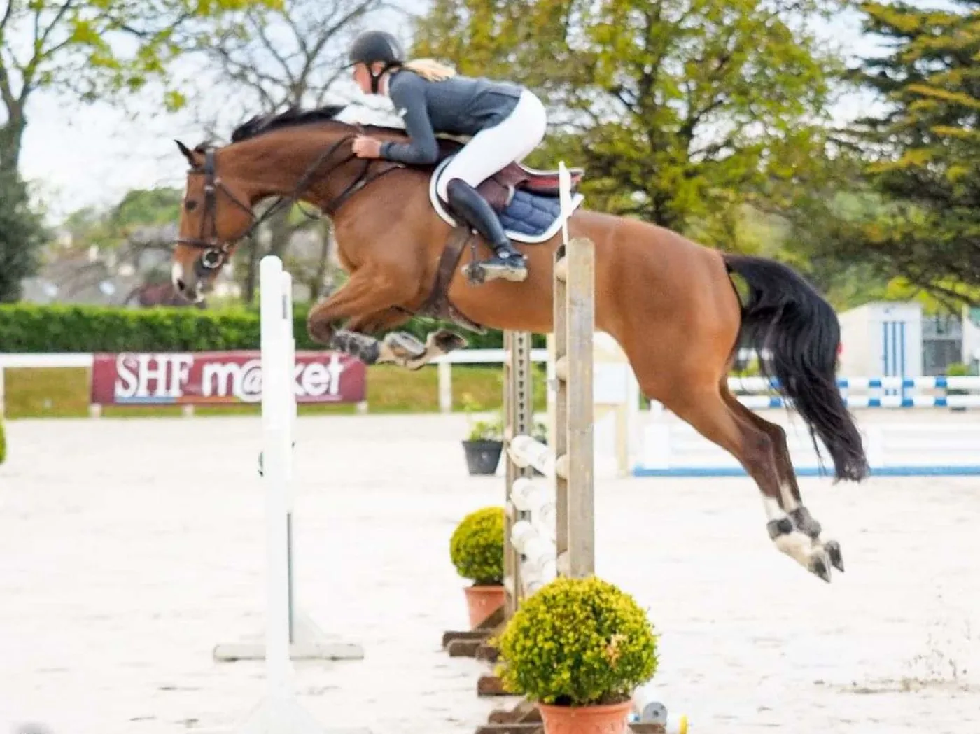 valorisation chevaux loudeac